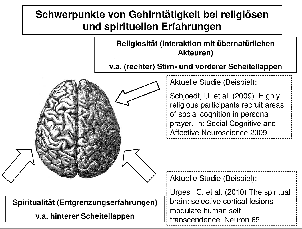 sitz der religion im gehirn